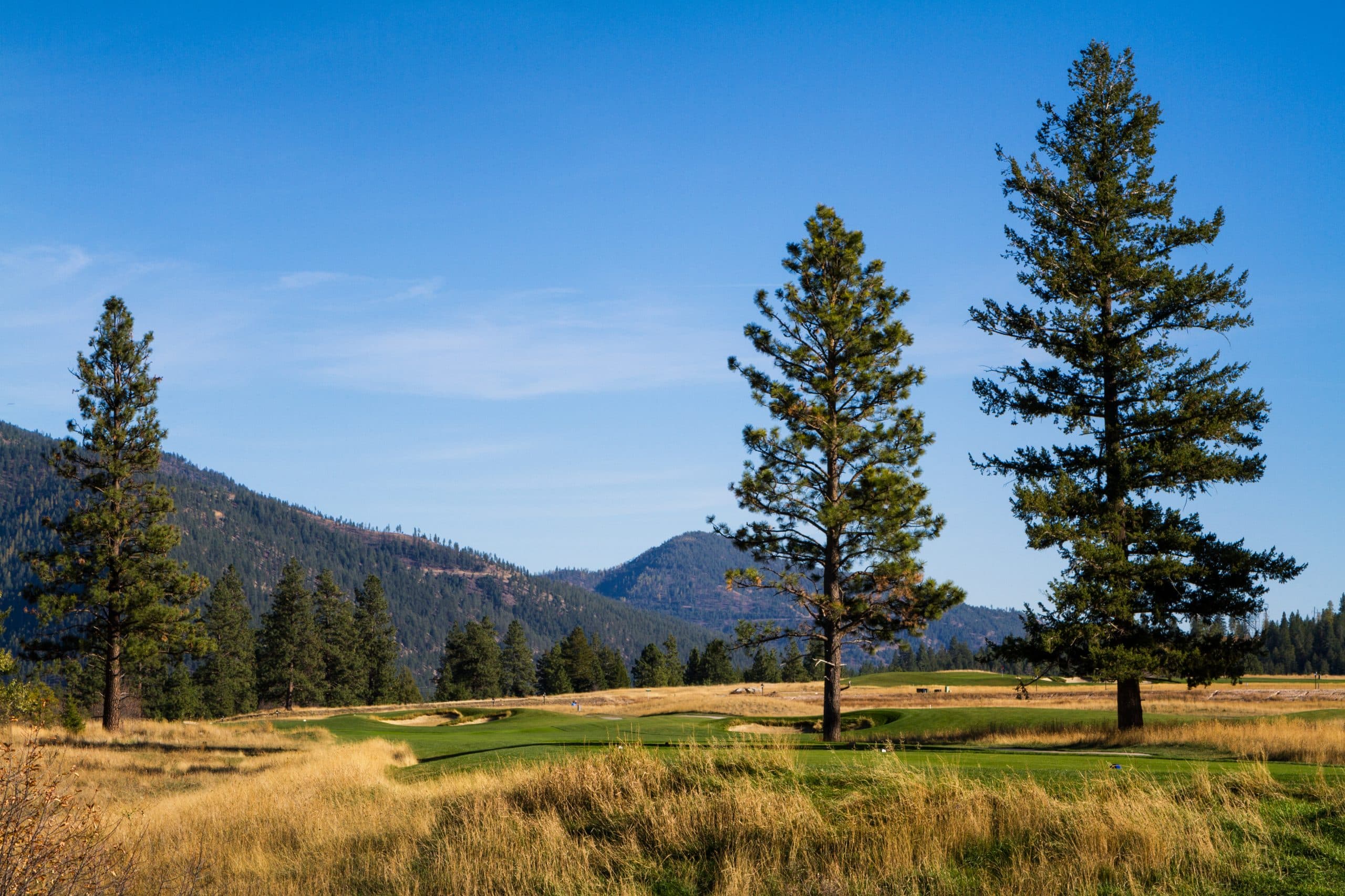 Canyon River Golf Club, Missoula, Montana