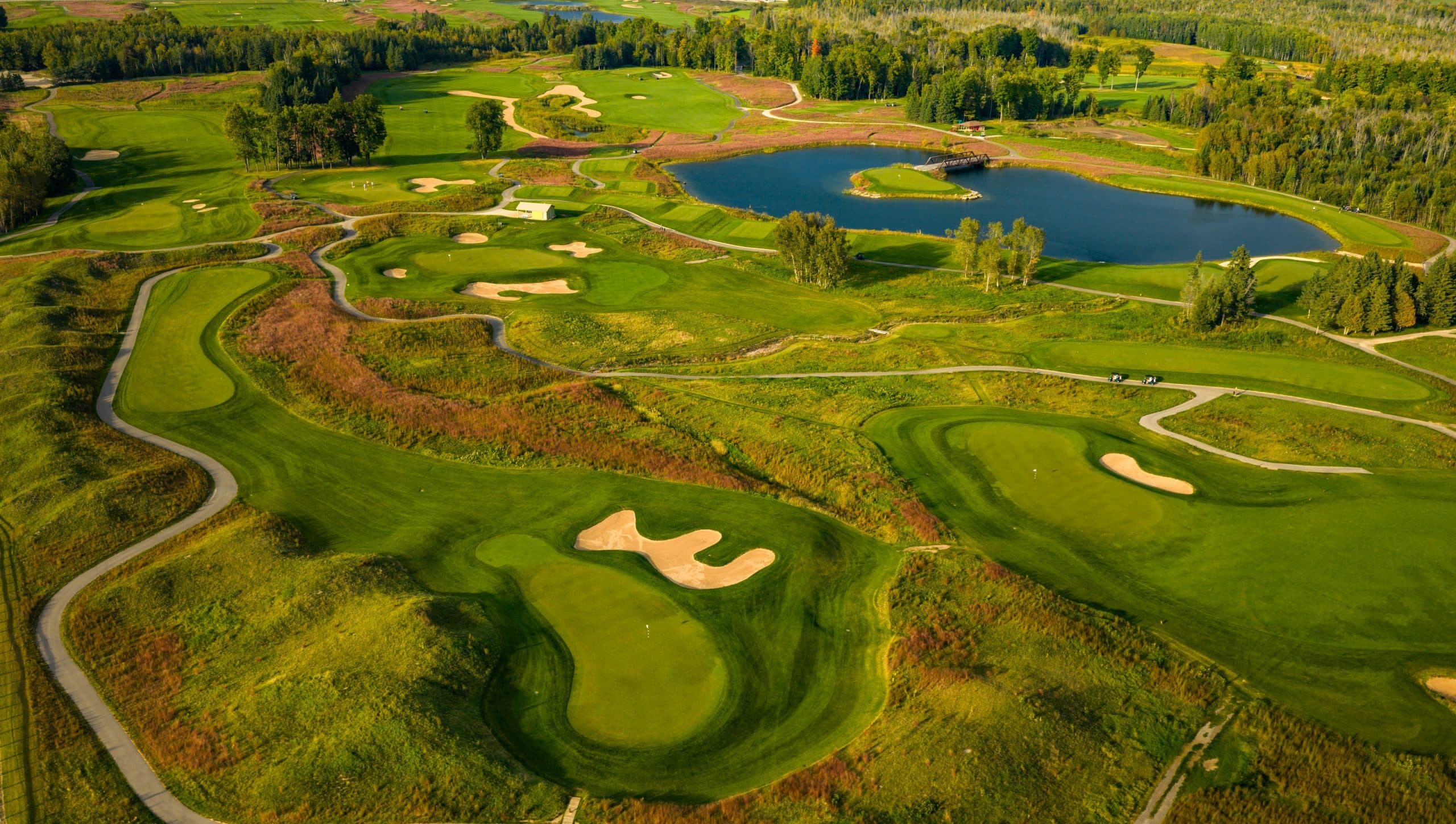 Sweetgrass Golf Club, Harris, Michigan, United States