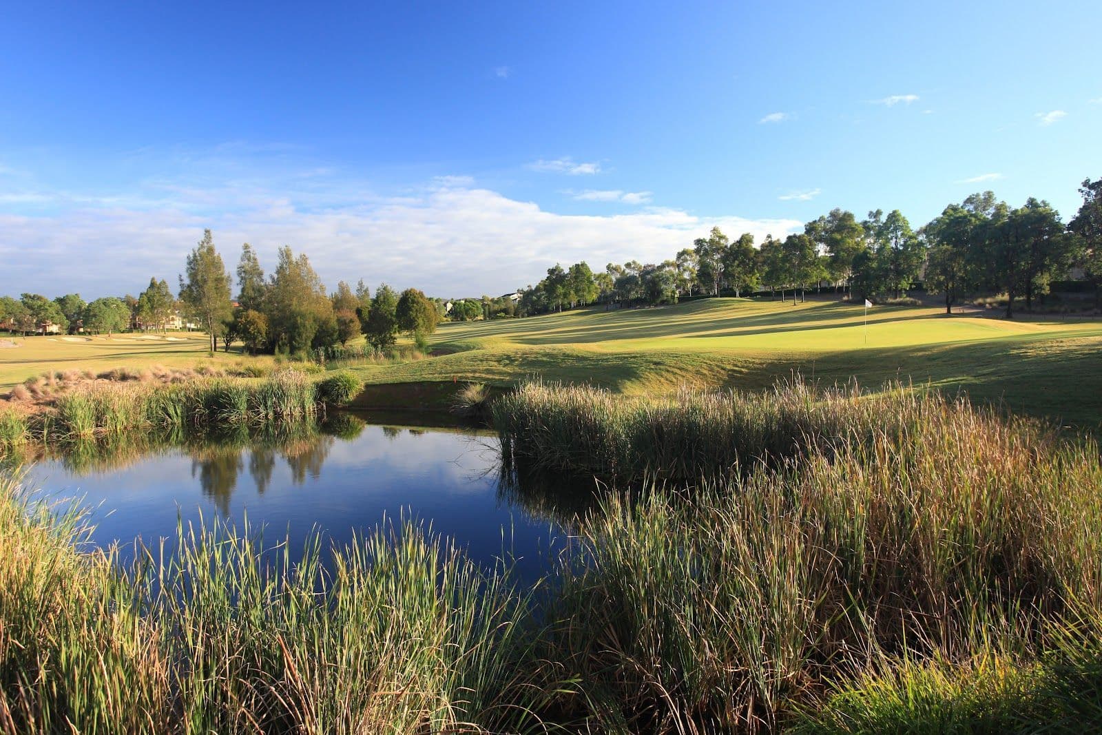 Macquarie Links photo 1