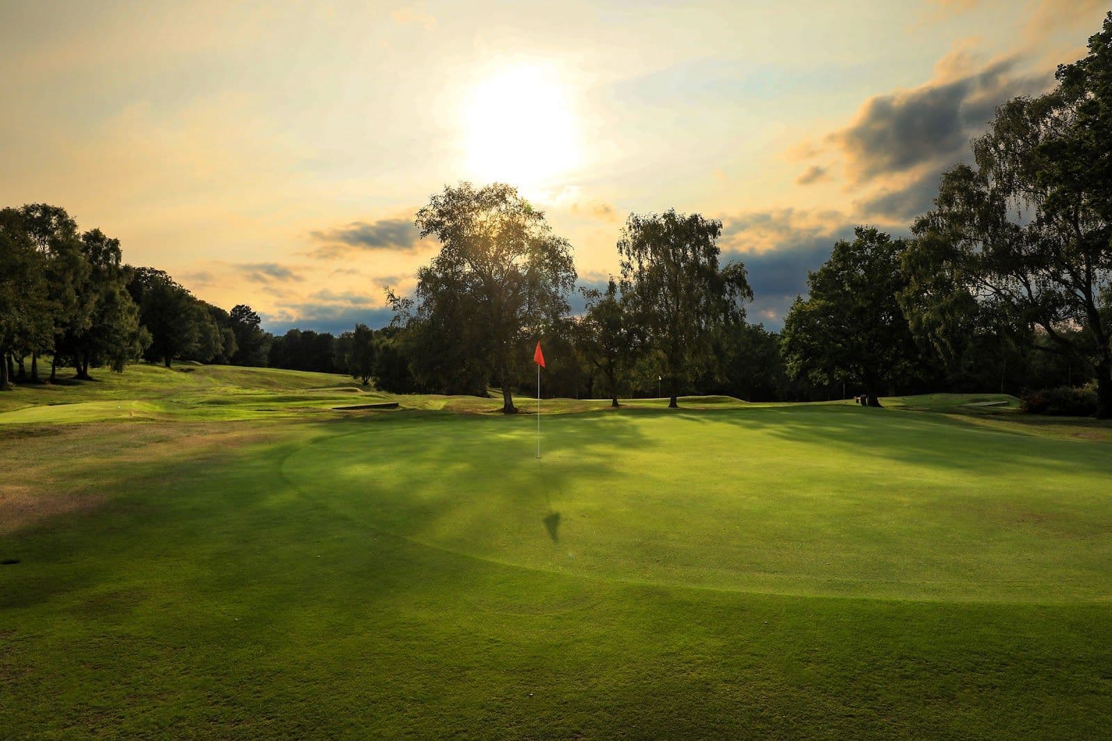 Royal Ashdown Forest Golf Club (West)