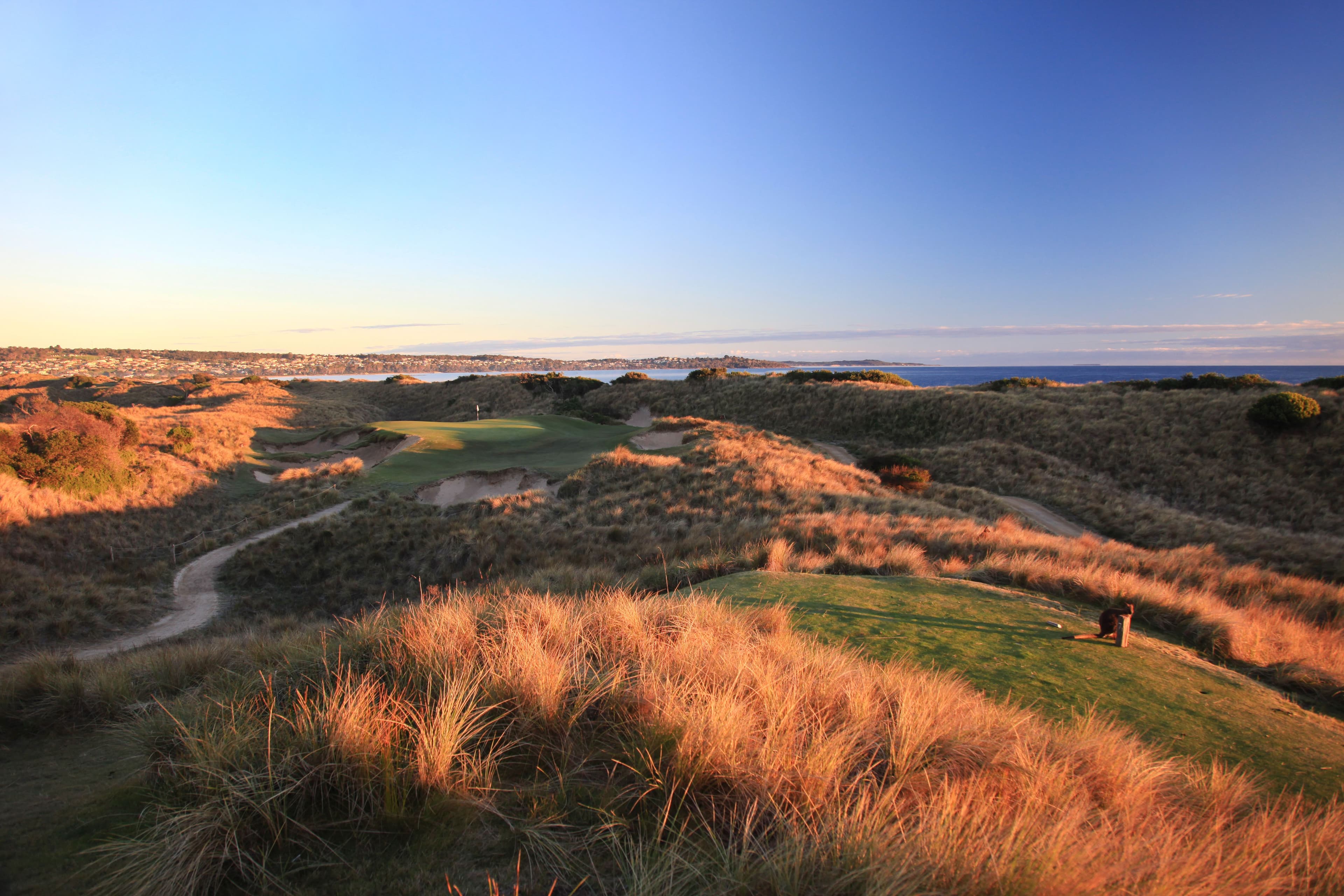 Barnbougle (The Dunes)