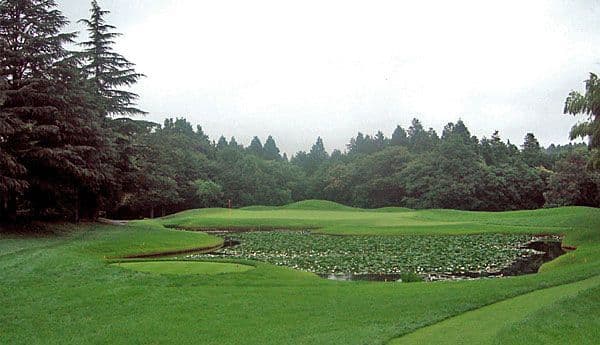 Shishido Hills (West)
