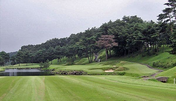 New St Andrews (New) photo 1
