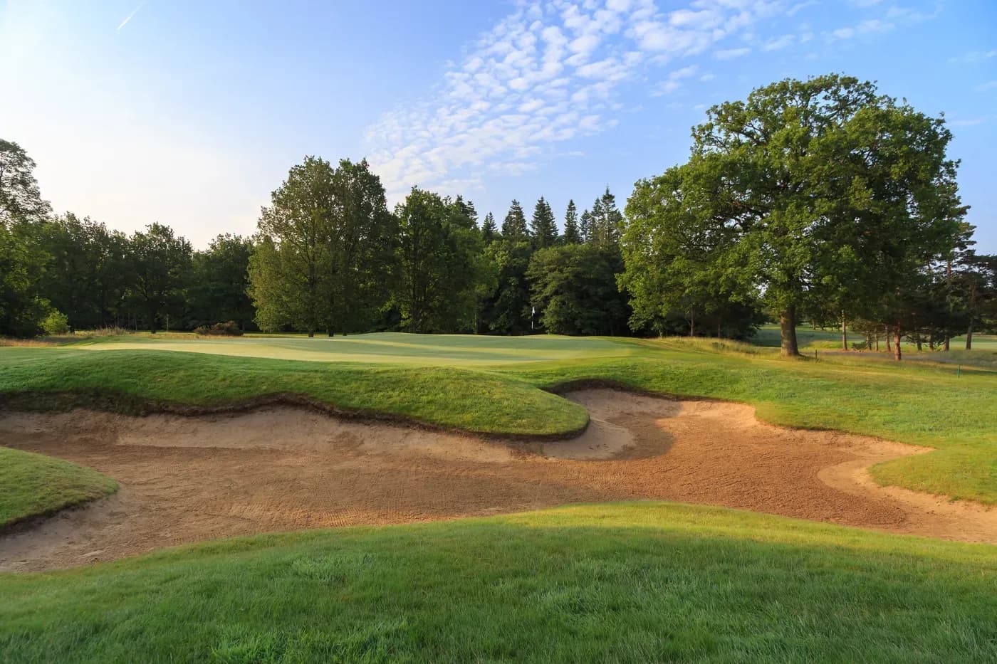 Woodhall Spa Golf Club (Bracken) photo 1
