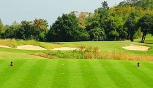 Pineapple Valley Golf Club