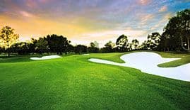 RACV Royal Pines Resort (Gold & Green) photo 1
