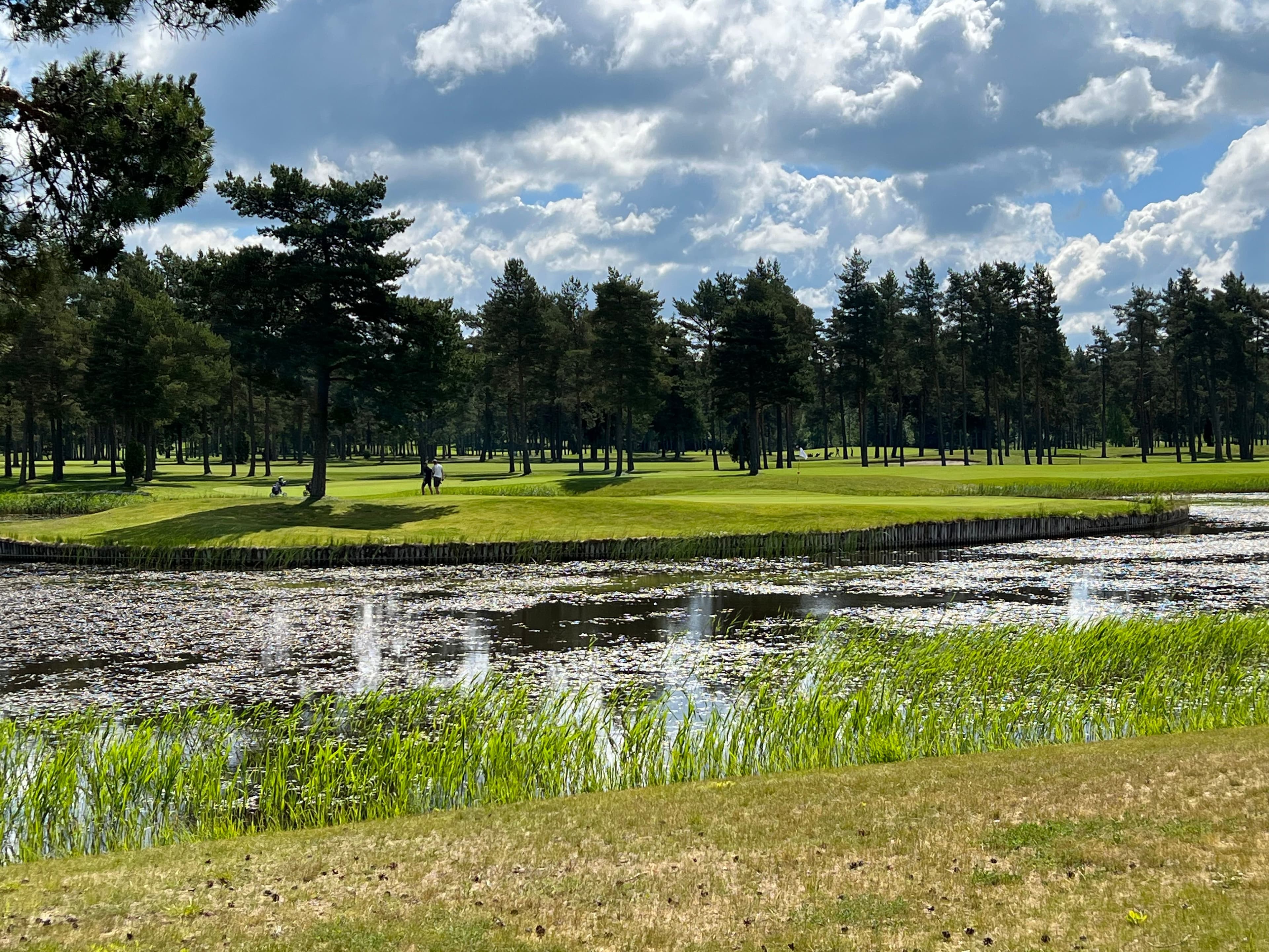 Niitvälja Golf Club photo 1