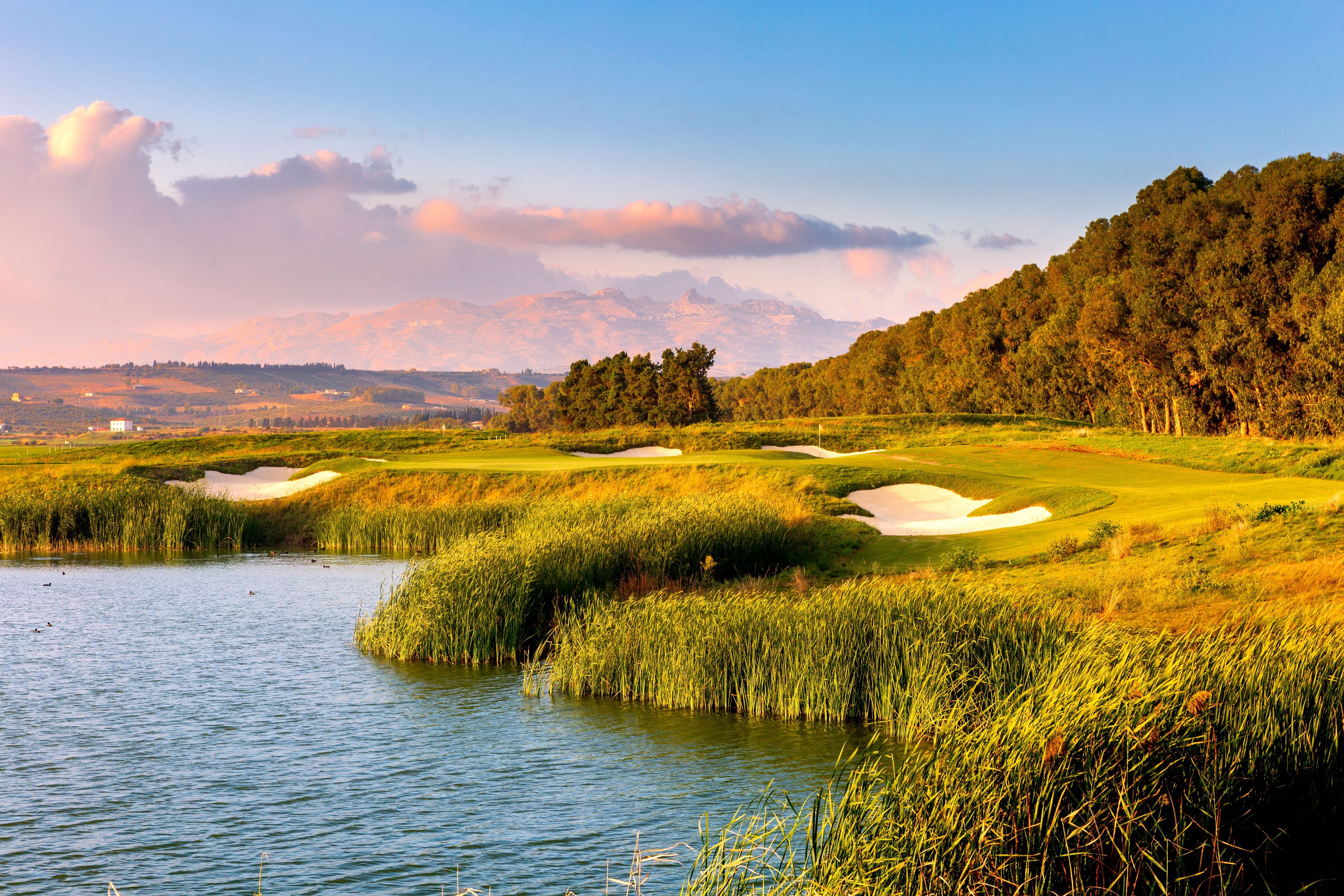 Verdura Resort (East Links) photo 1
