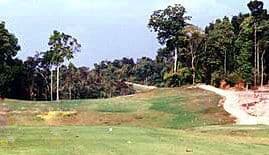 Dansavanh photo 1