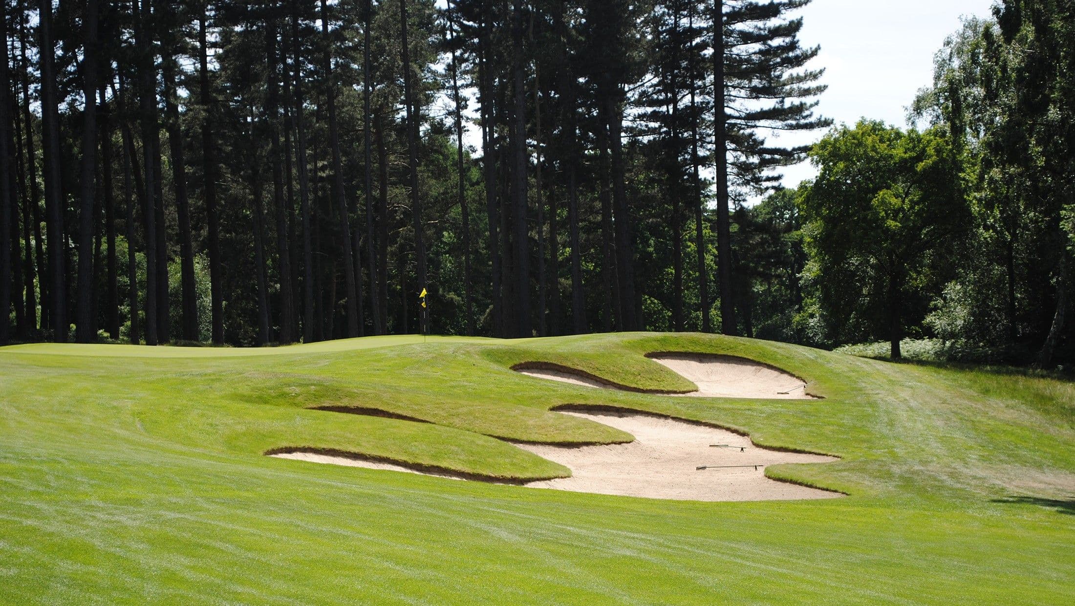 Brocket Hall Estate (Palmerston) photo 1