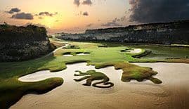 Sandy Lane (Green Monkey)