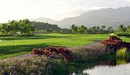 Grand Reserve (International)
