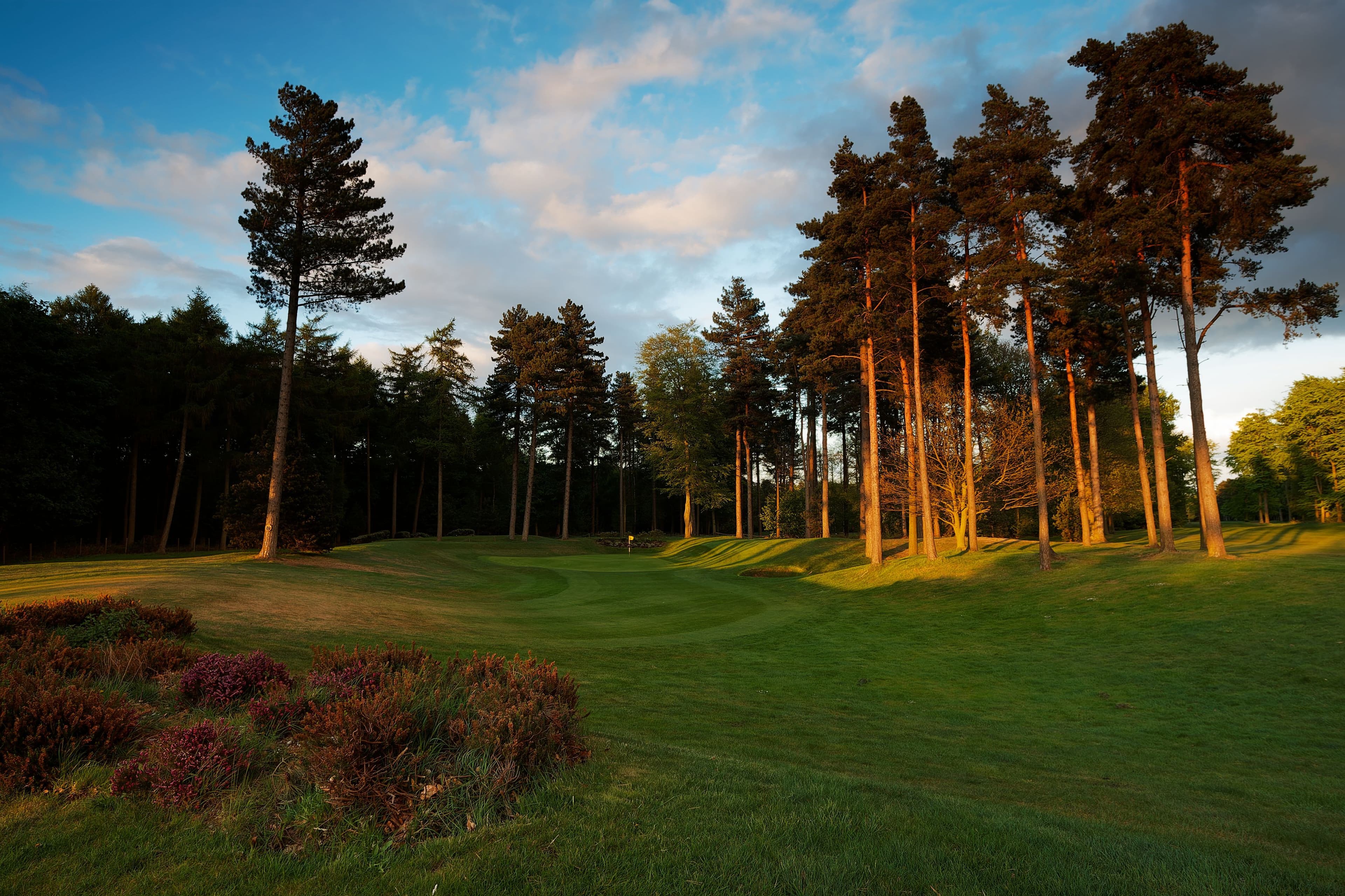 Forest Pines Golf Club (Forest & Pines)
