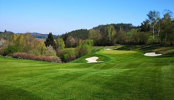 Panorama (Meadows & Forest)