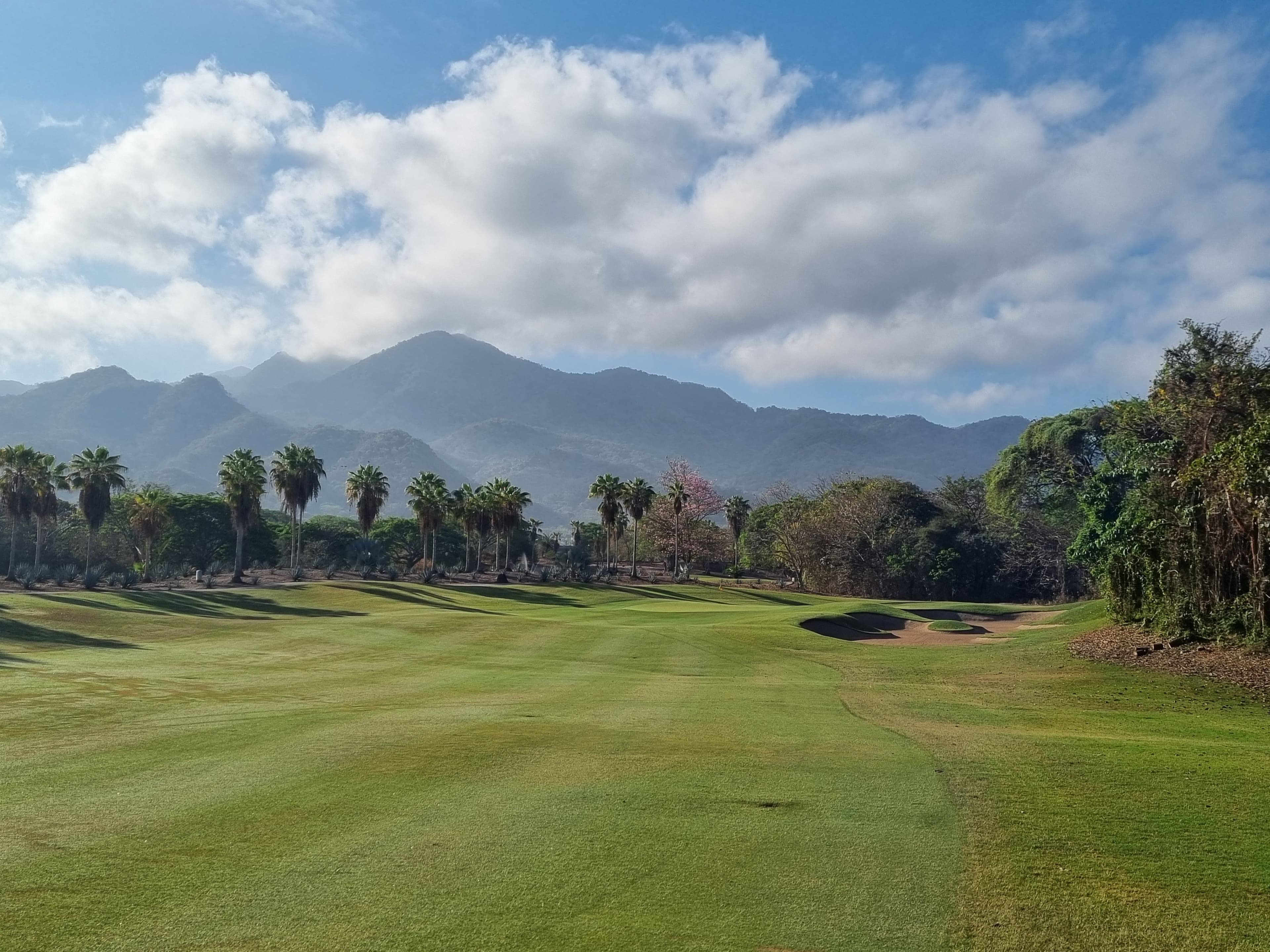 Vista Vallarta (Weiskopf)