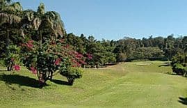Mayan photo 1
