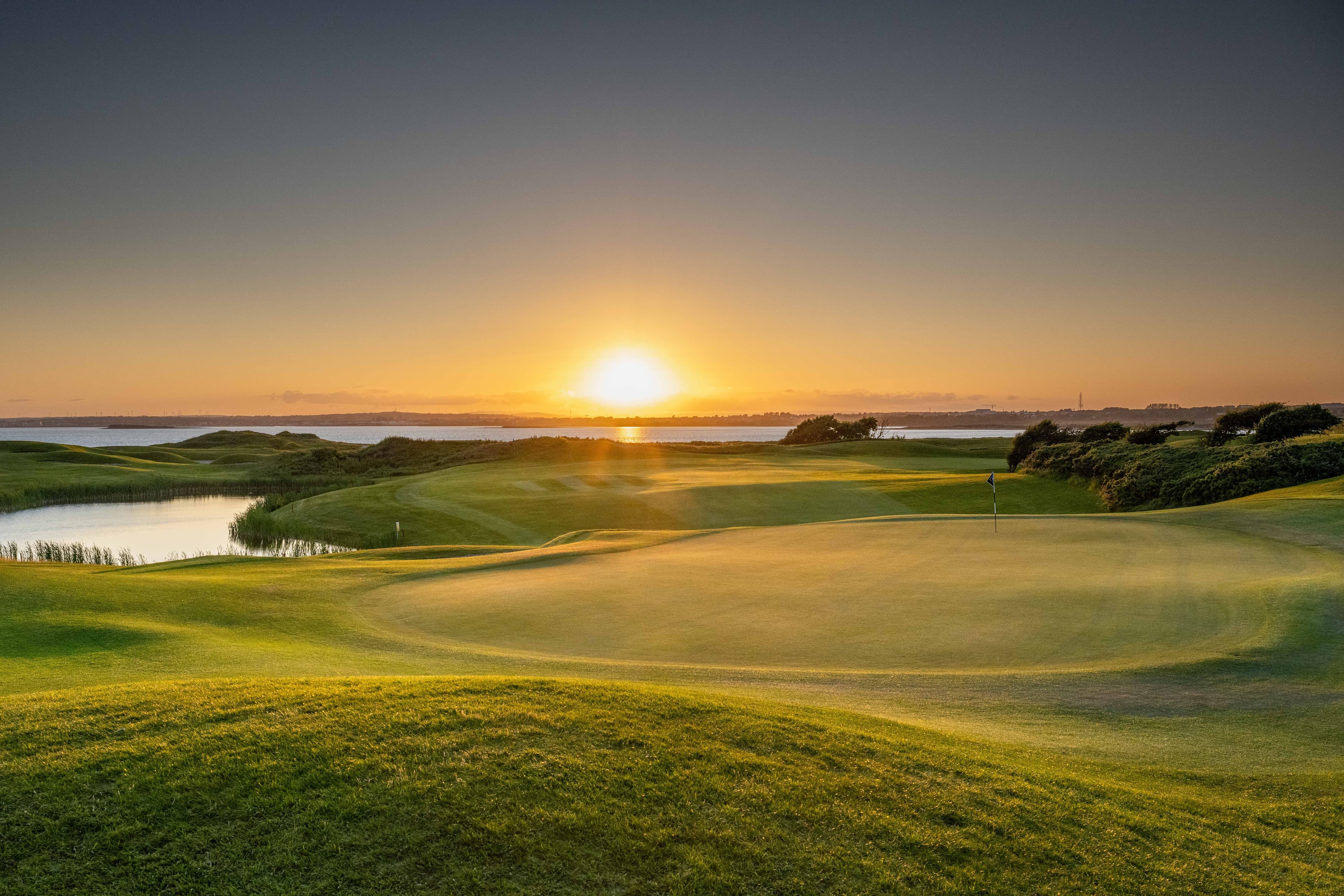 The Hawthorn by Galway Bay