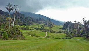 Mount Kinabalu photo 1