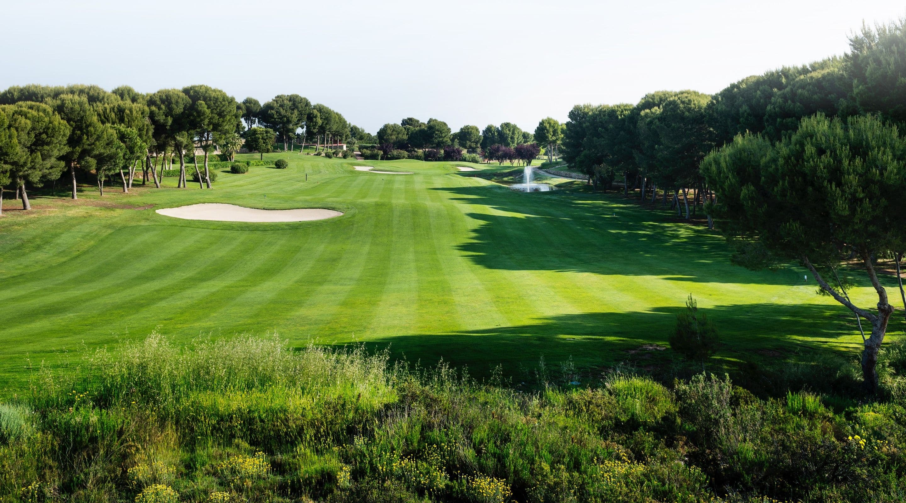 Real Club de Golf La Penaza photo 1