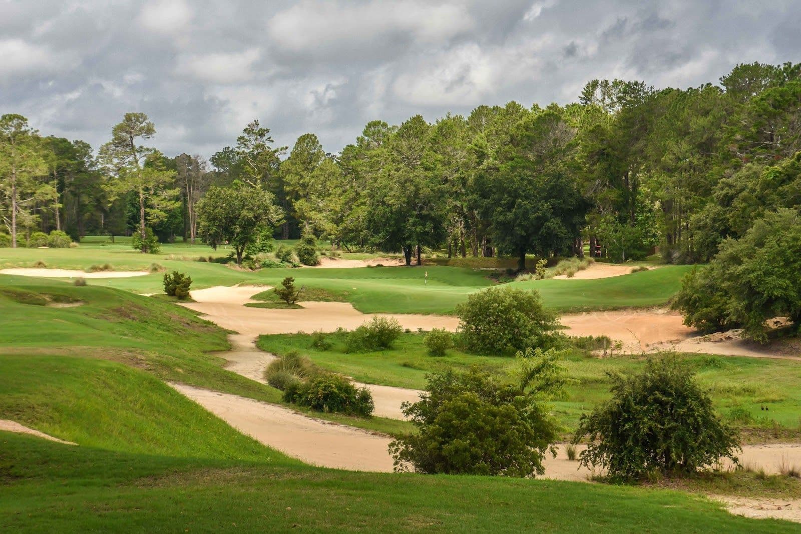 World Woods - Pine Barrens (See Cabot Citrus Farms)