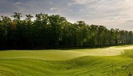 TimberStone at Pine Mountain