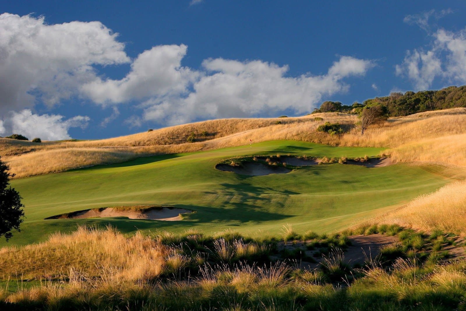 St Andrews Beach Golf Course photo 1