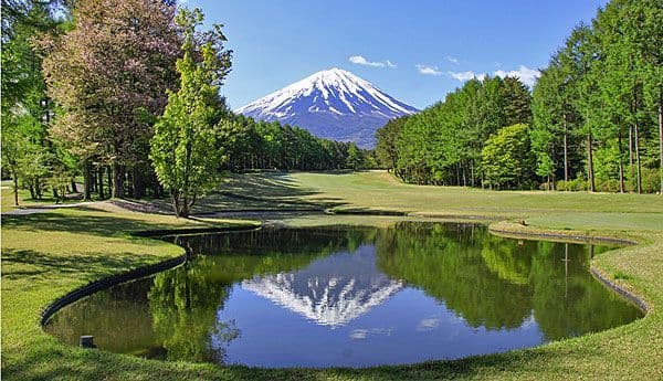 Fujizakura photo 1