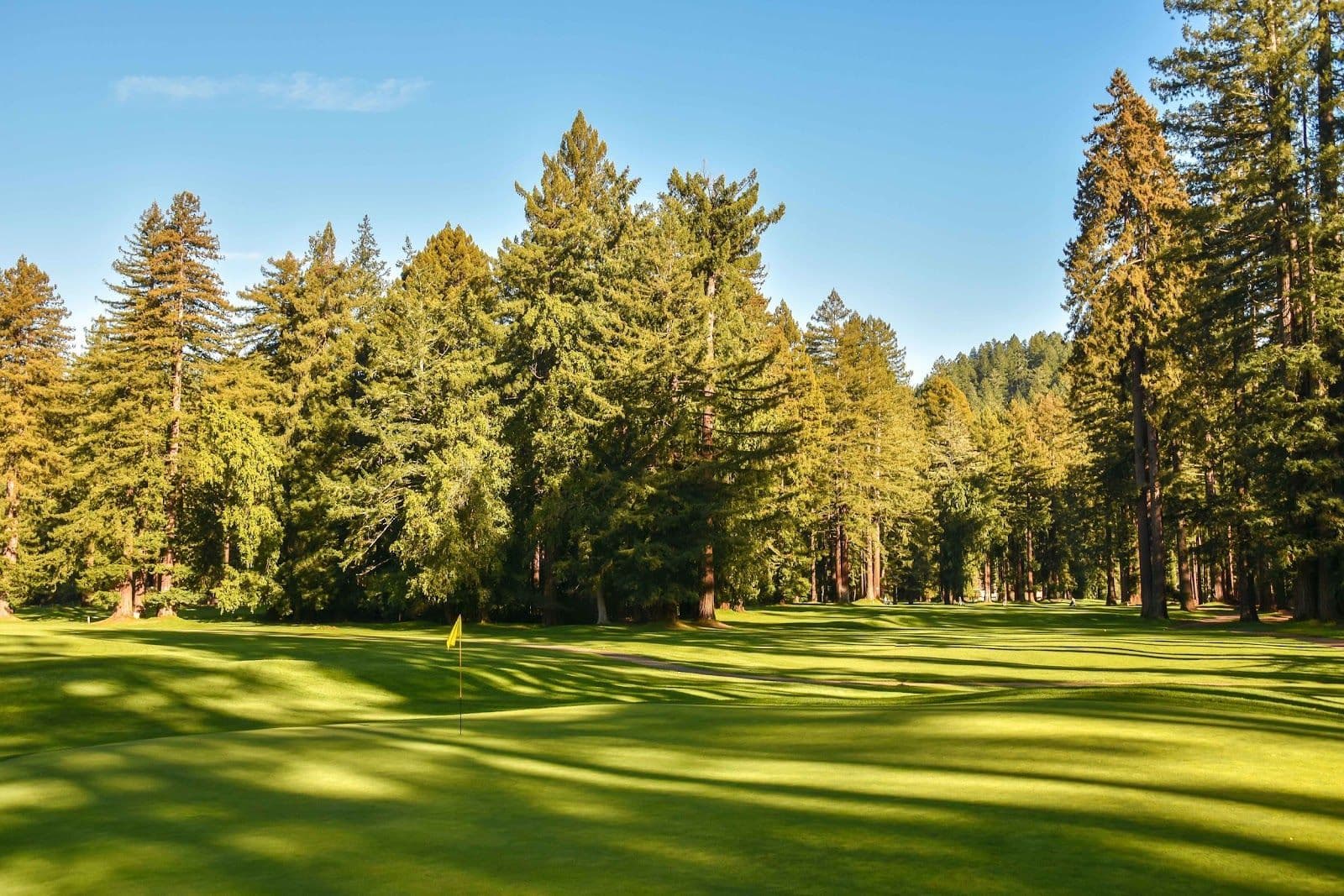 Northwood Golf Club - Middlesex photo 1