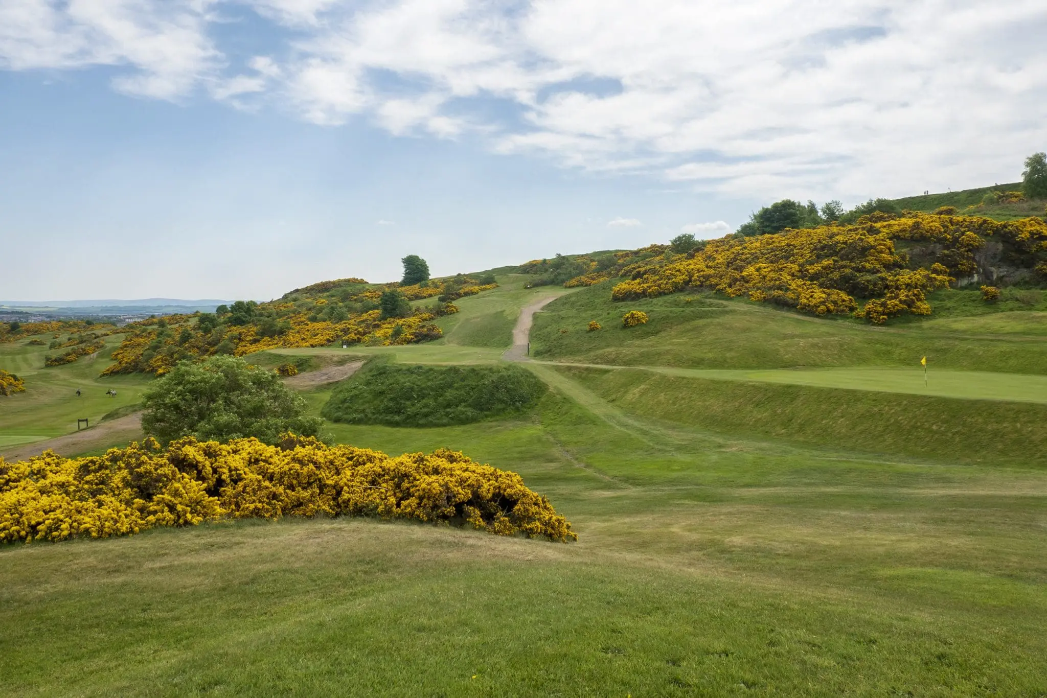 Braid Hills Golf Course photo 1