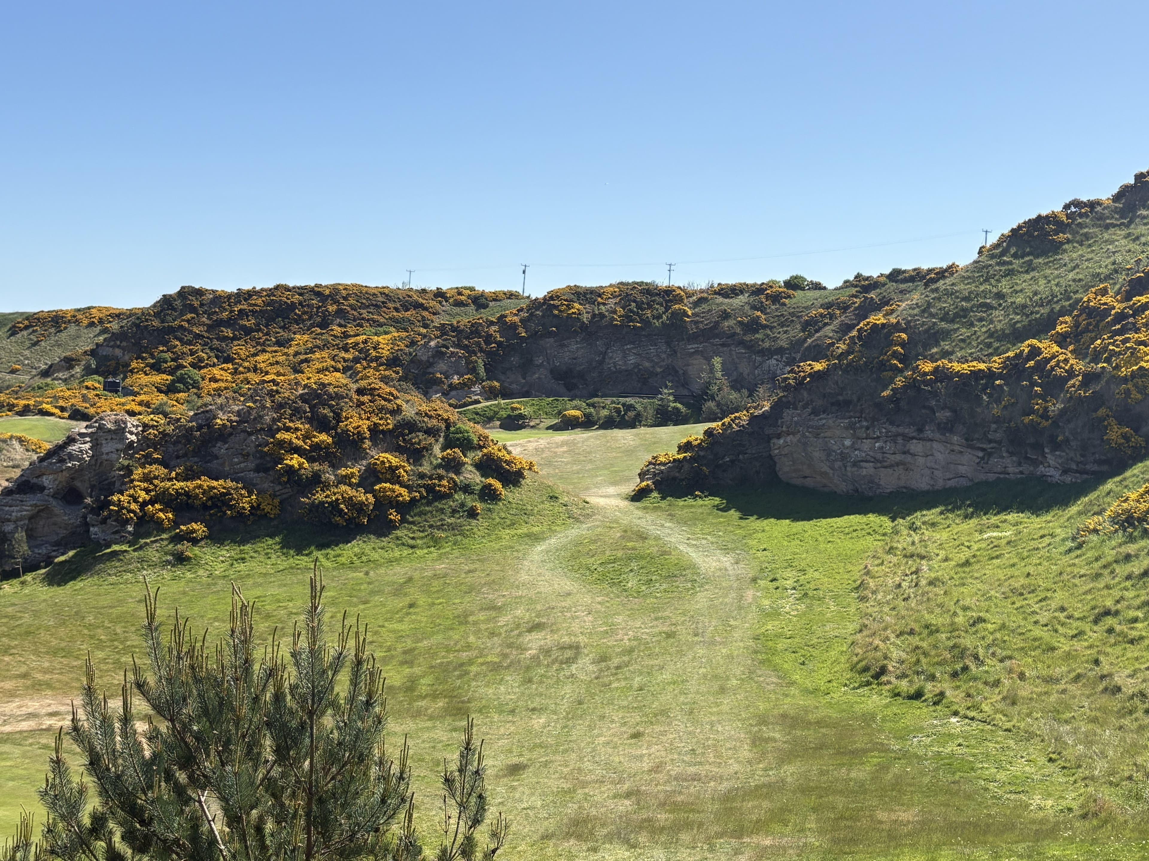 Covesea Links