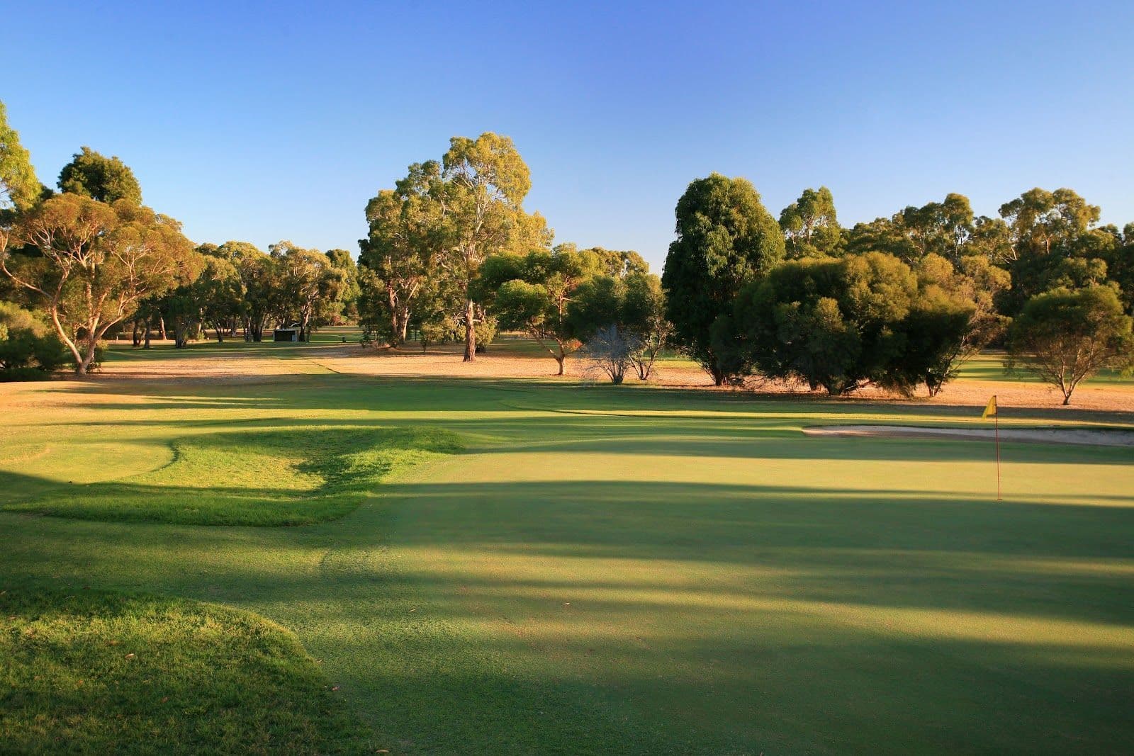 Naracoorte photo 1