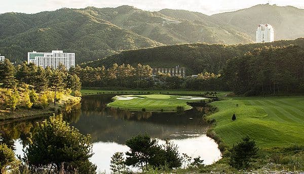 Phoenix - Pyeongchang