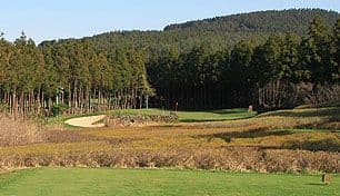 Skyhill Jeju (Hill & Forest)