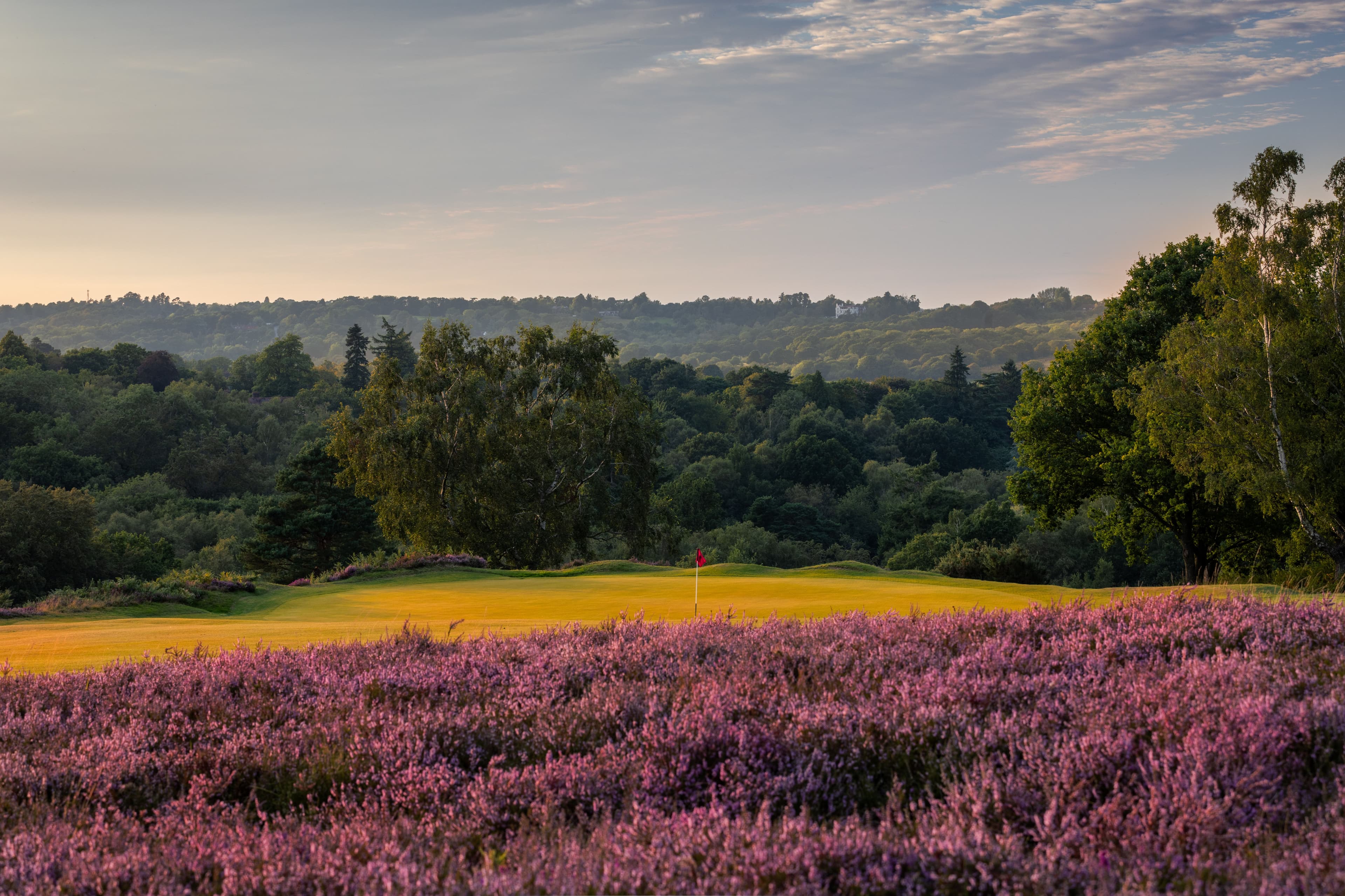 Royal Ashdown Forest Golf Club (Old)