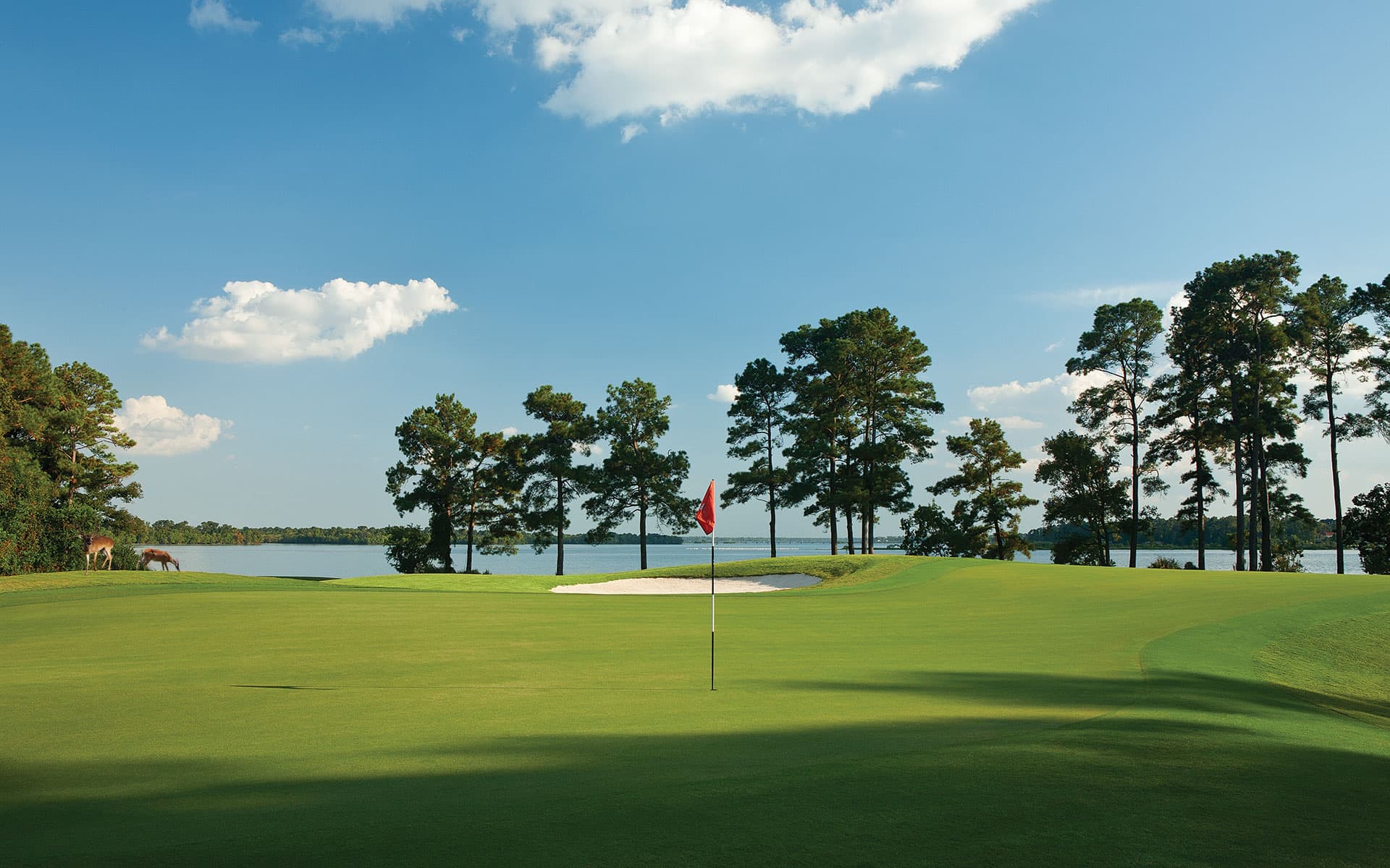 The Clubs of Kingwood - Deerwood