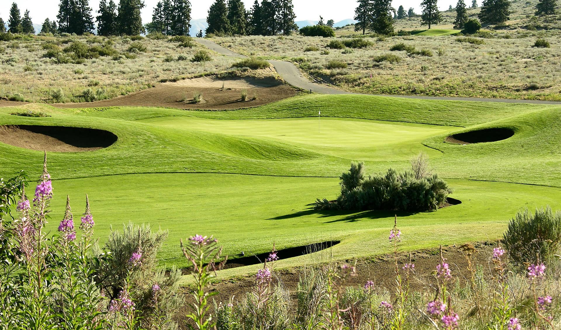 Desert Canyon Golf Resort