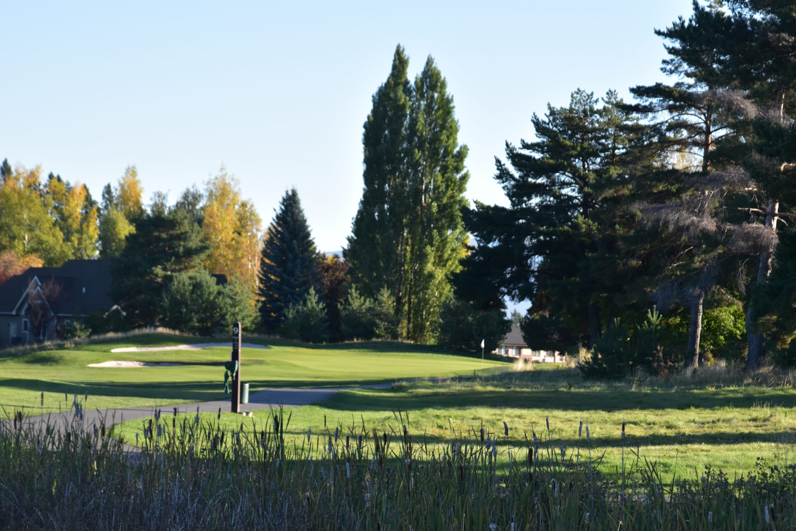 Buffalo Hill Golf Course, Kalispell, Montana