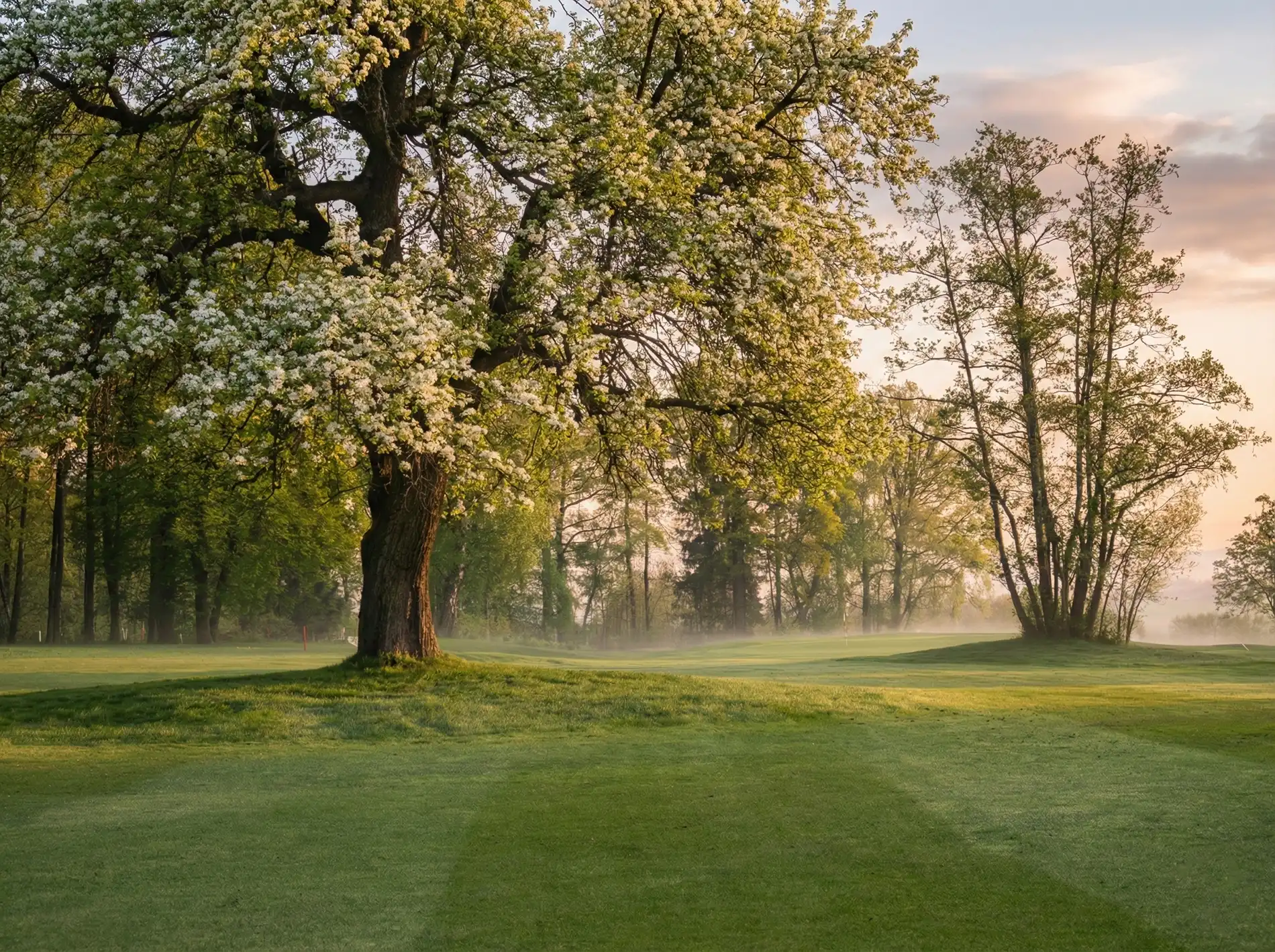 Golf Club Swarco Amstetten-Ferschnitz