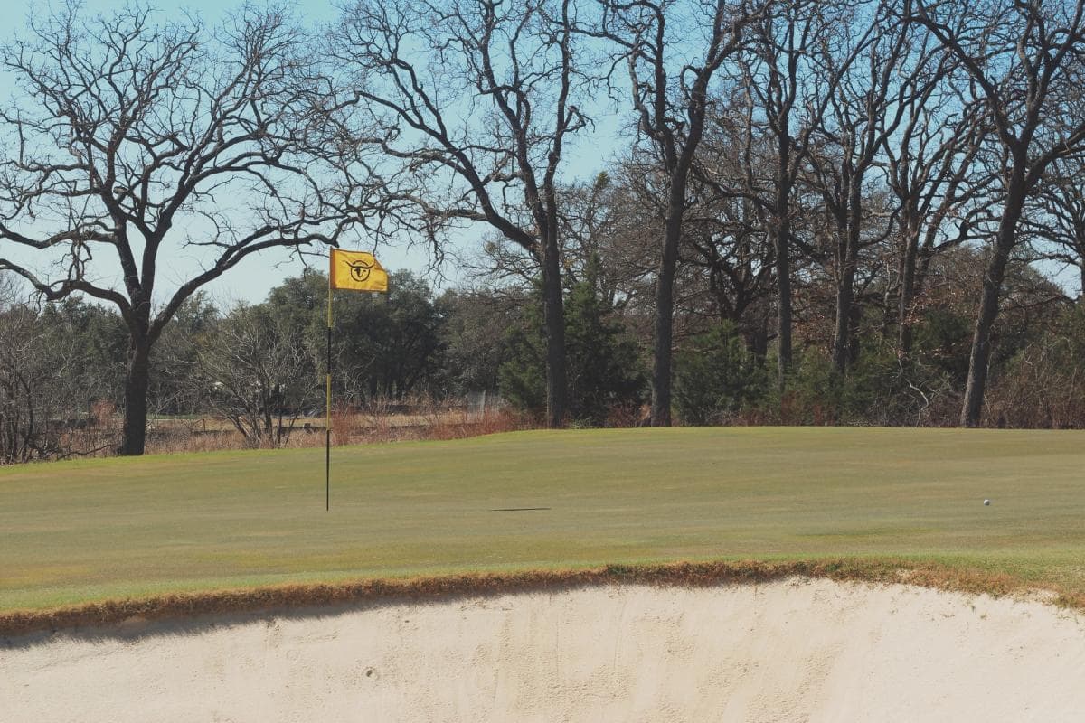 Cimarron Country Club, Mission, Texas