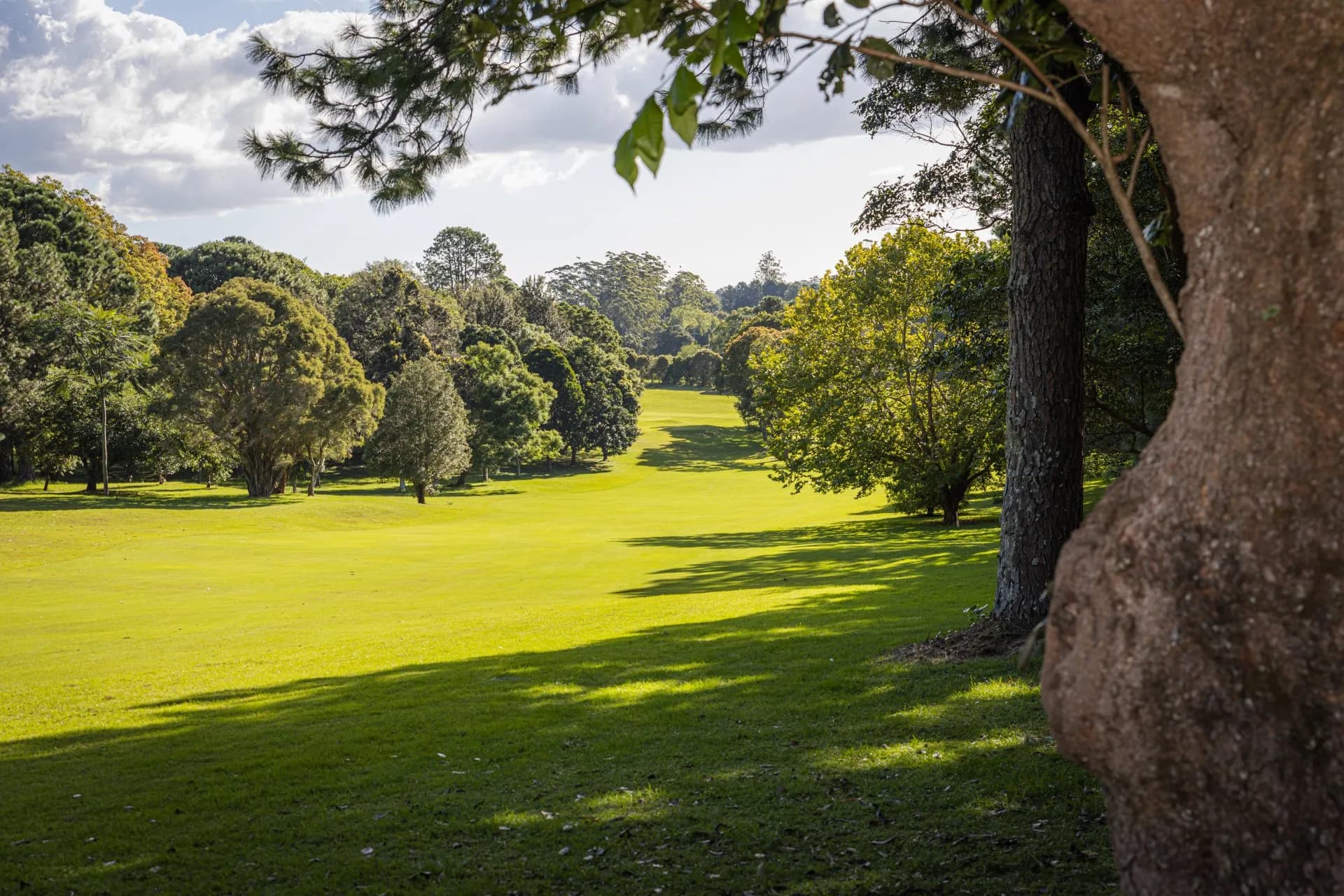 Tamborine Mountain Golf Club