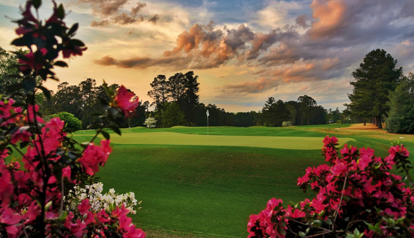 Palmetto Golf Club, a course by Herbert Leeds