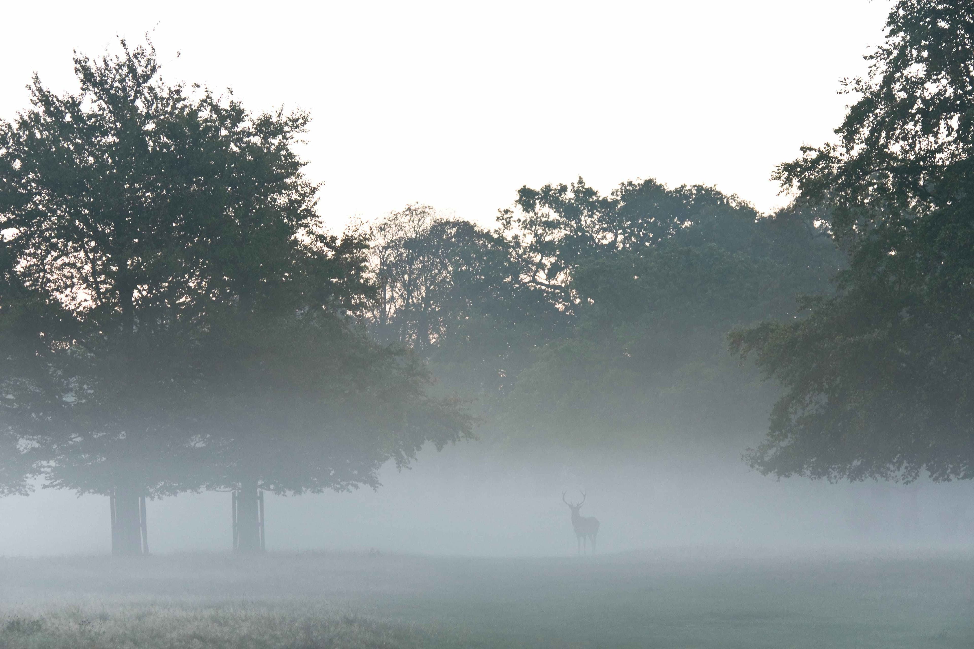 Deer Trails Country Club