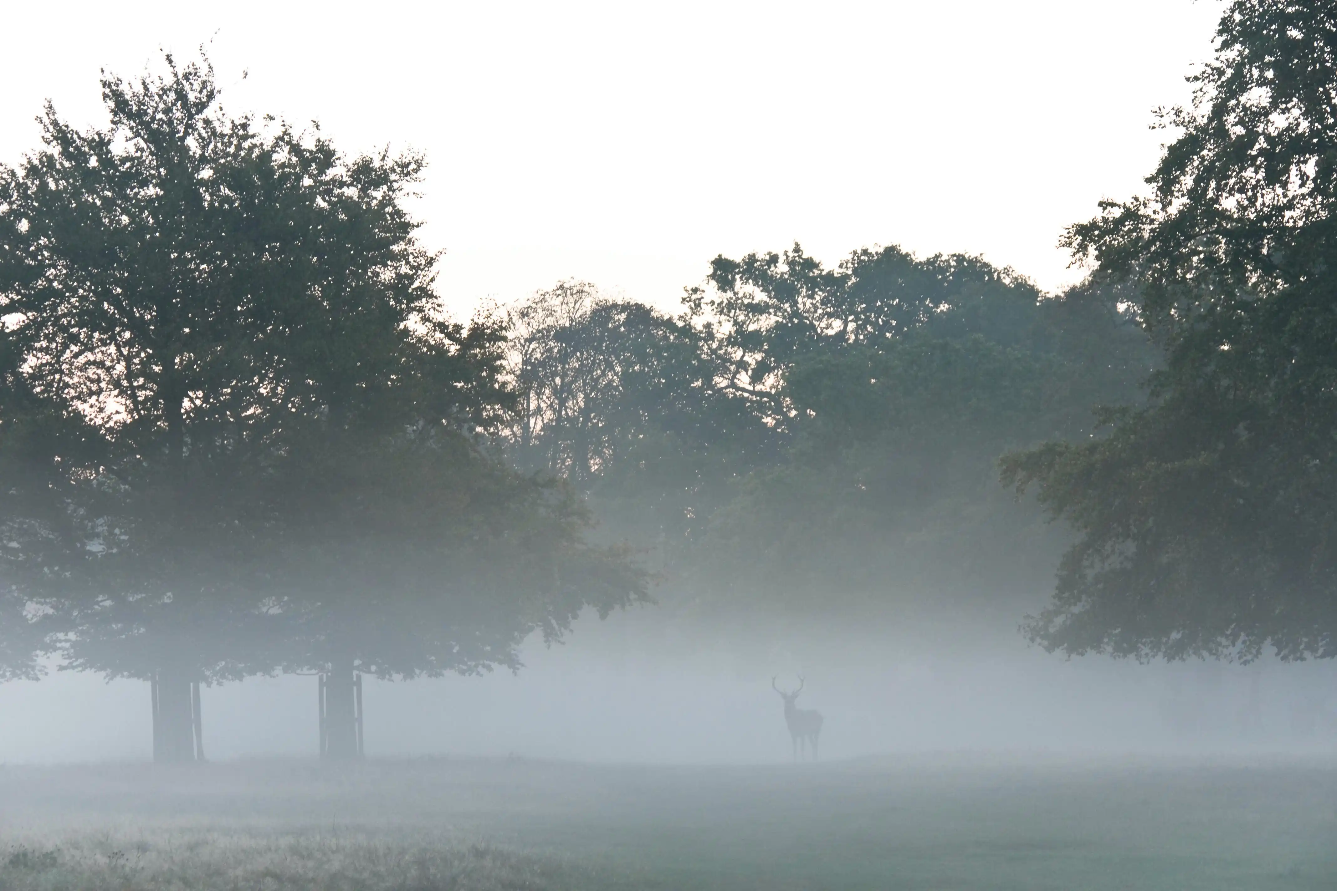 Deer Trails Country Club
