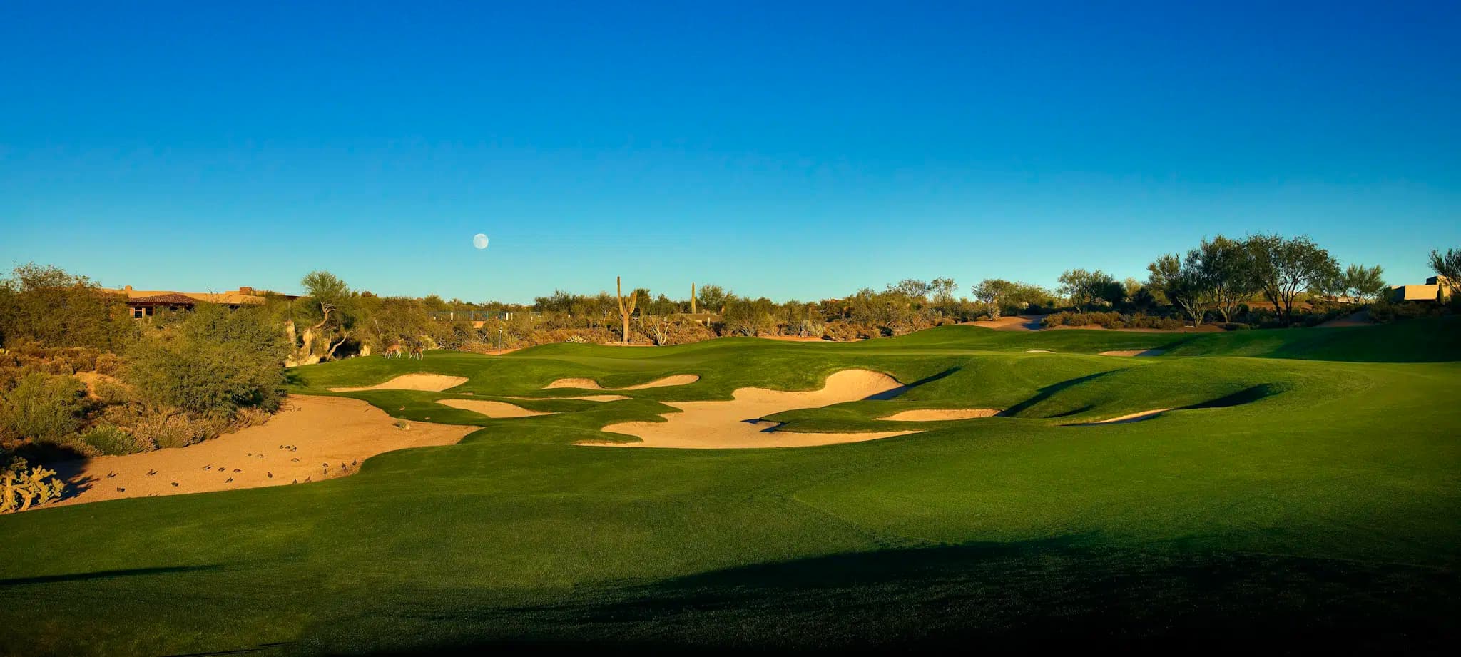 Desert Mountain Geronimo Golf Course
