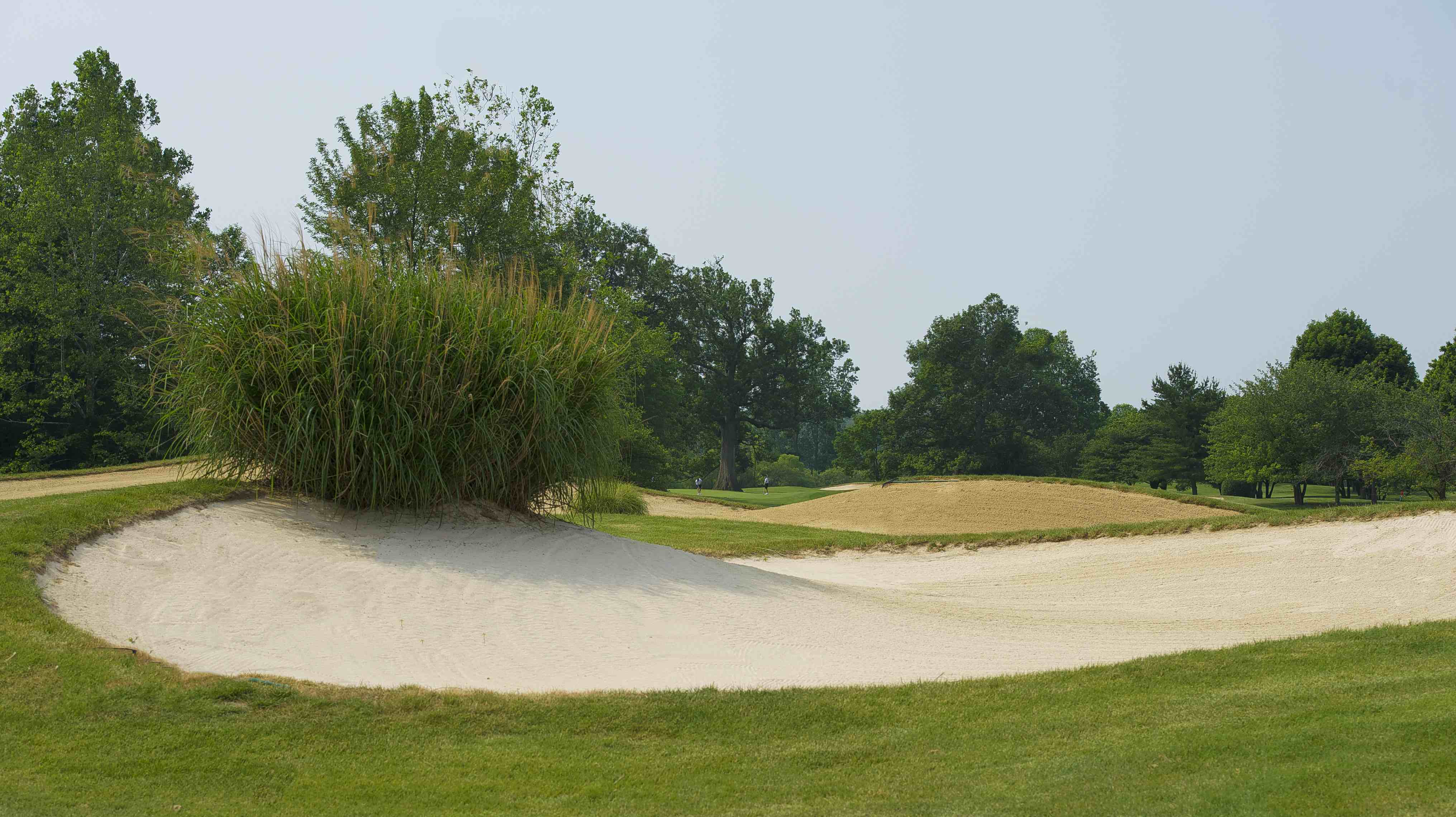 Golf Club of Indiana