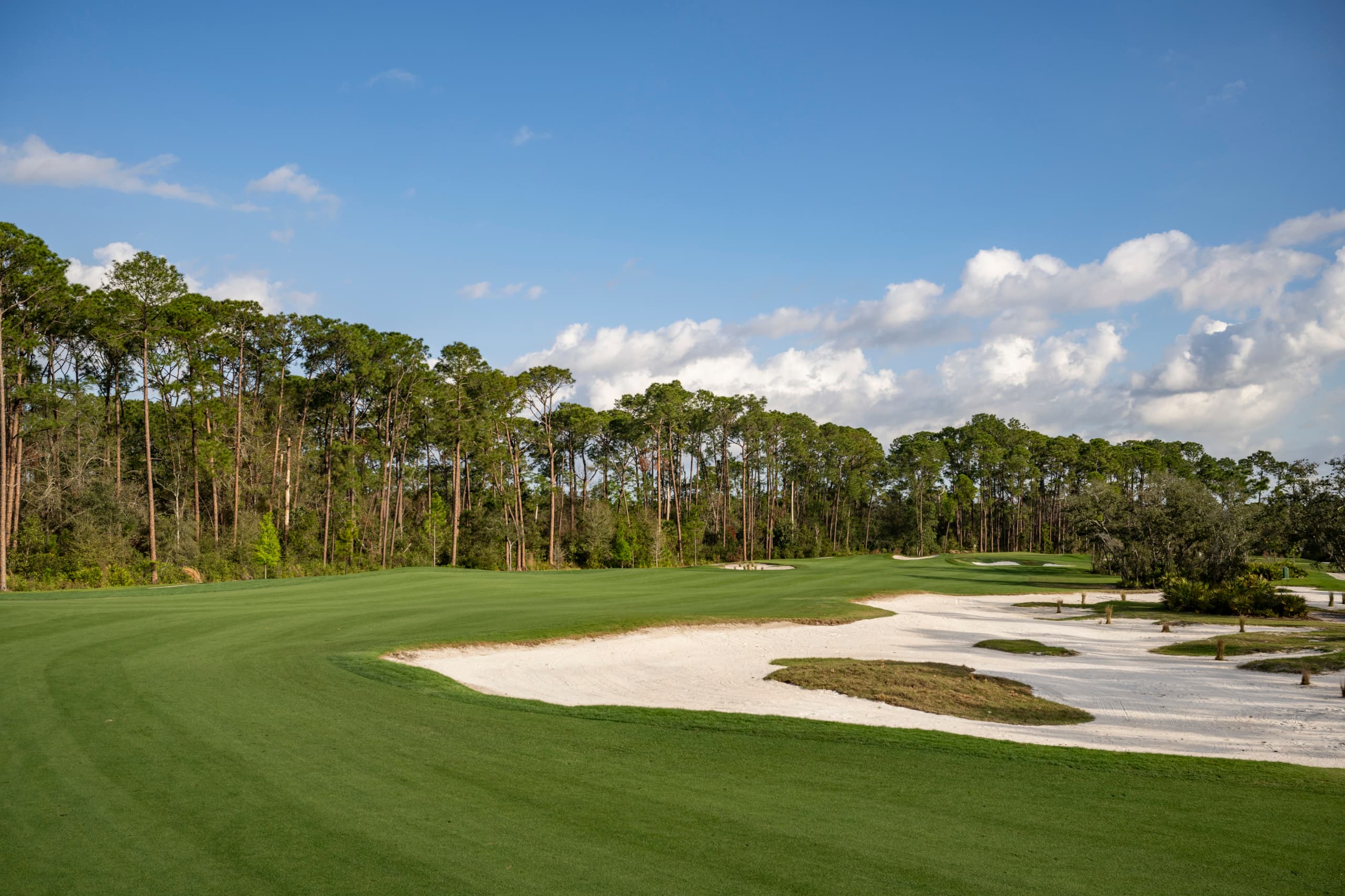 Disney's Palm Golf Course
