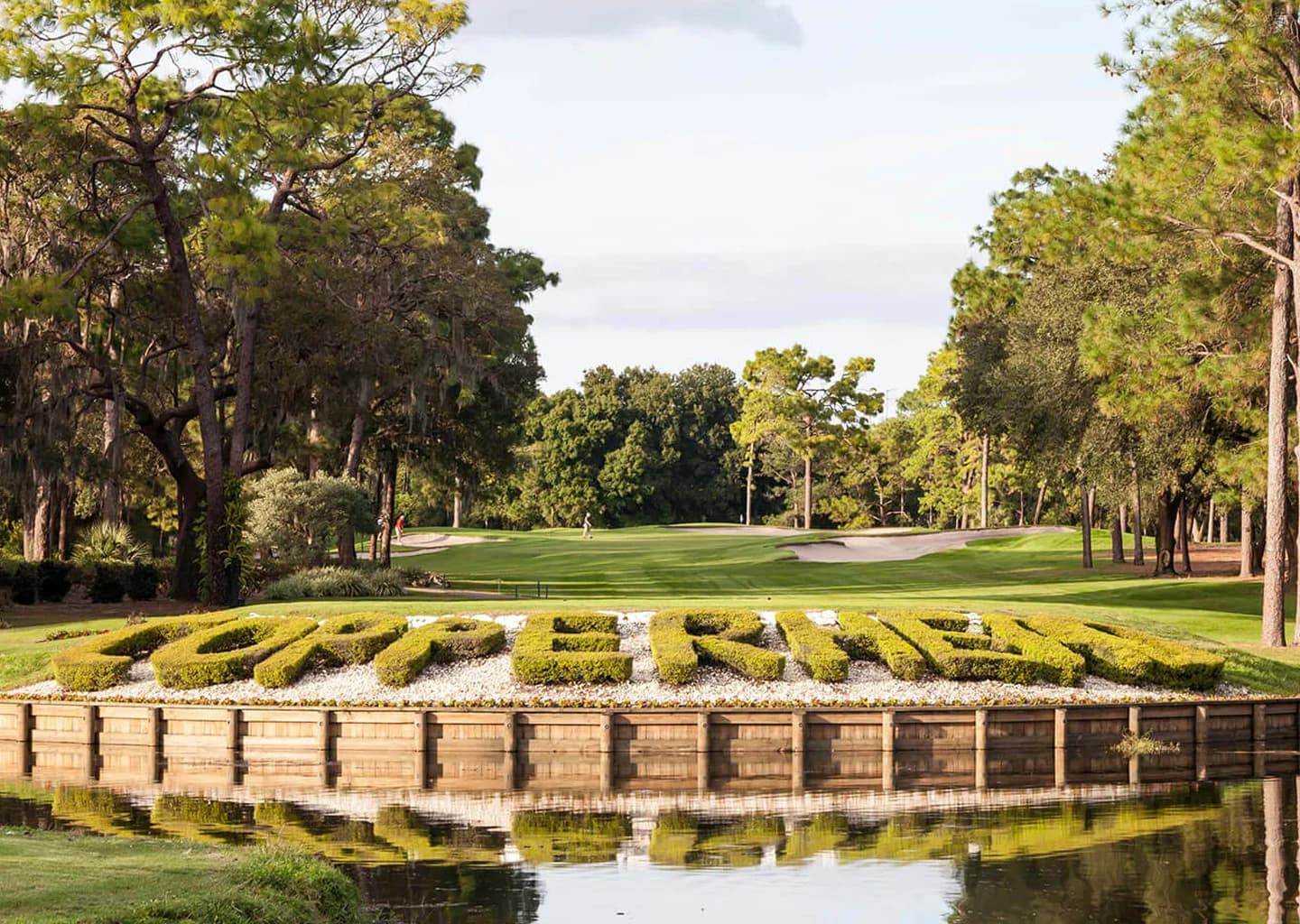 Innisbrook Resort and Golf Club - The Island