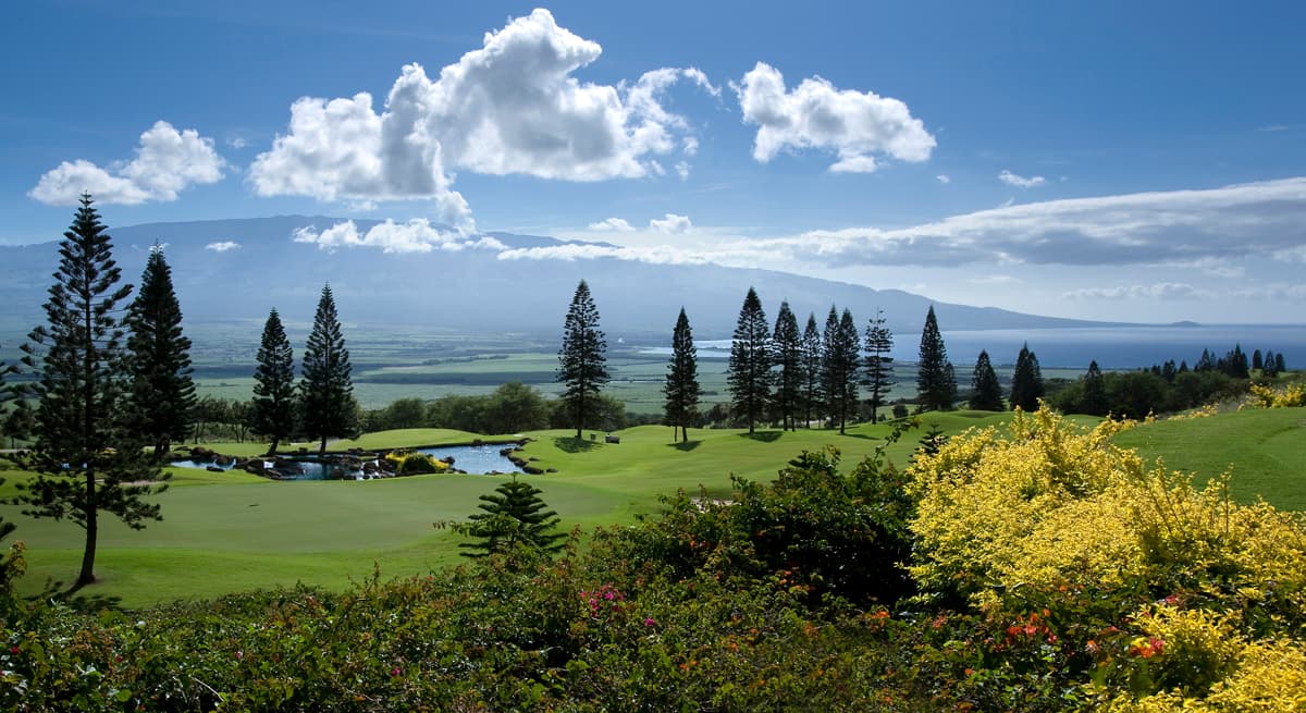 The King Kamehameha Golf Club