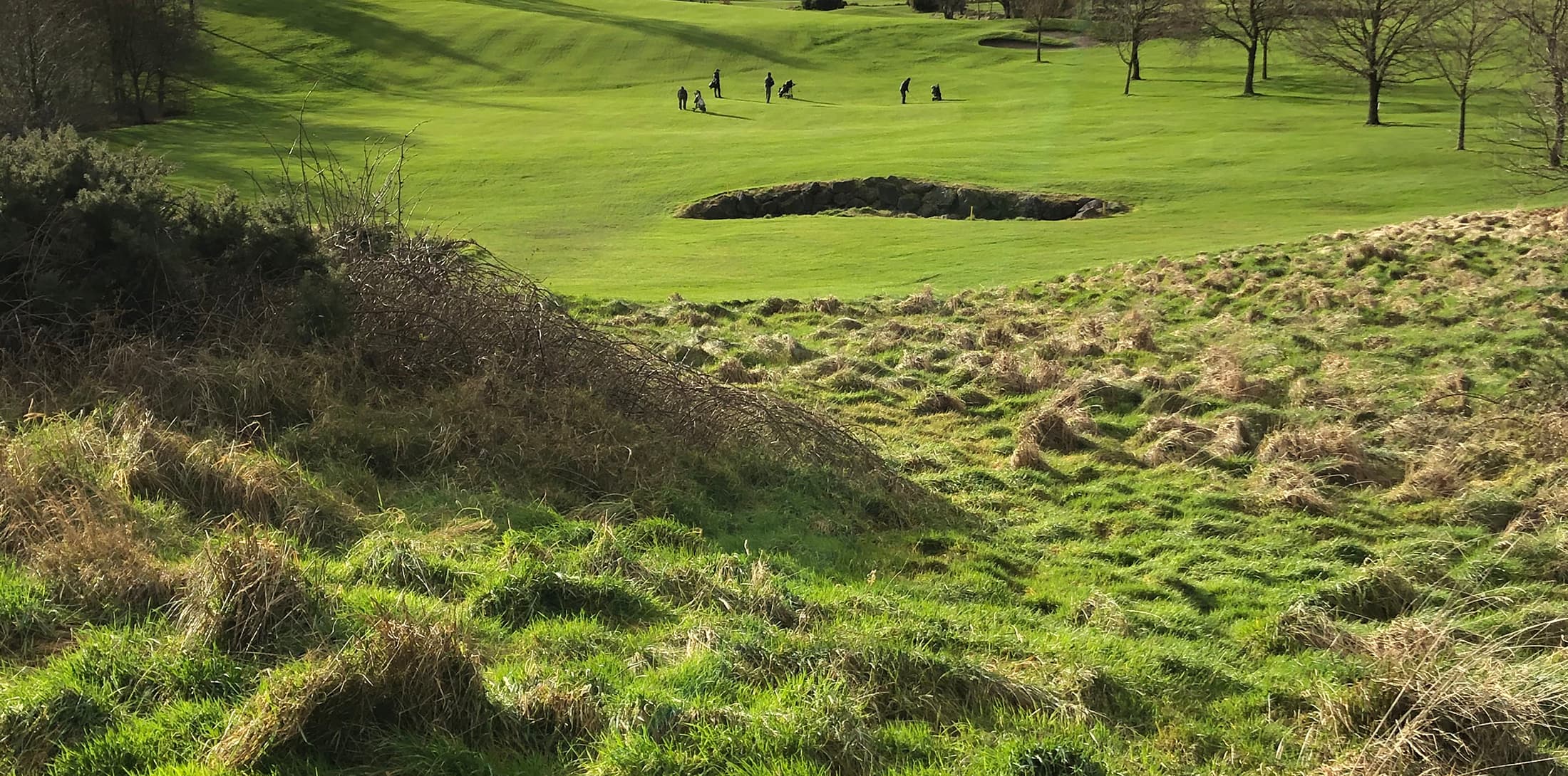 Rathcore Golf and Country Club