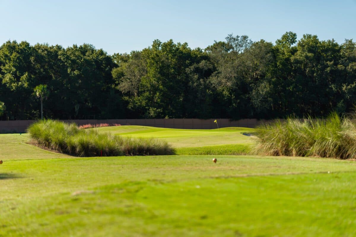Longleaf Executive Golf Course